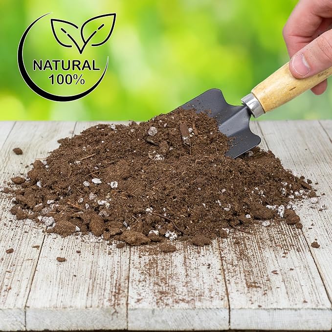 Soil Sunrise Bird of Paradise Potting Soil Mix (8 Quarts) All Natural Mix for Indoor/Outdoor Container Tropical Plants