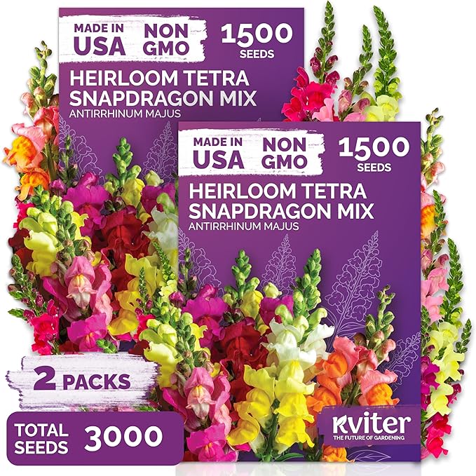 KVITER 3,000 Tetra Mix Snapdragon Seeds, 2 Pack (Antirrhinum Majus) – Heirloom & Organic Tall Snap Dragon Mix, Annual Flower Garden Seeds, Cut Flower Seeds for Planting – Outdoor Garden & Containers