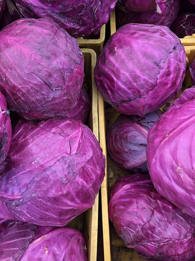 Seeds Vegetable Cabbage Purple - 150 Seeds
