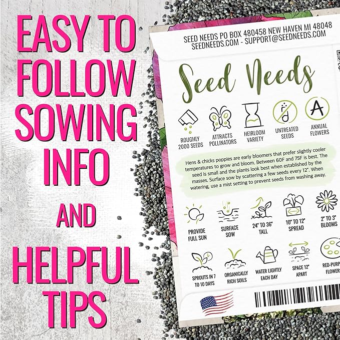Seed Needs Hens & Chicks Poppy Seeds for Planting - Heirloom & Open Pollinated Annual Wildflowers - Beautiful Poppies to Attract Pollinators to a Butterfly Garden (1 Pack)