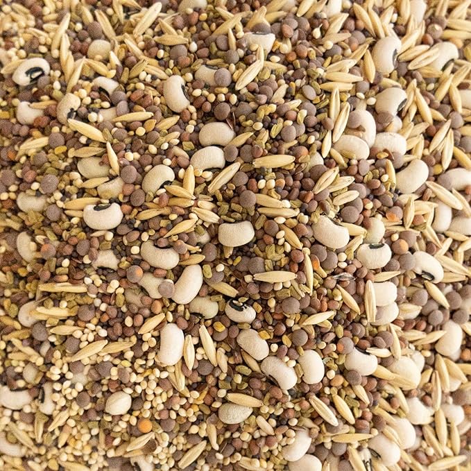 Cover Crop Seed Mix - Pollinator & Bee Friendly Cover Crop Mix - 5 lb Bulk ~34,000 Seeds - Clover Cover Crop Blend - Includes Hairy Vetch Cover Crop Seeds, Crimson Clover, Peas, & Oats