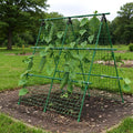 Garden Trellis for Climbing Plants, 4x4 ft Metal A-Frame with Support Netting, Outdoor Vegetable Trellis for Tomatoes Cucumbers Peas Beans Grape Vines, Fits Raised Beds, Green