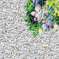 Perlite for Plants, Coarse and Chunky Horticultural Perlite, Organic Perlite for Gardening Indoor & Outdoor, Perlite Bulk Bag, Made in USA (30 quarts)