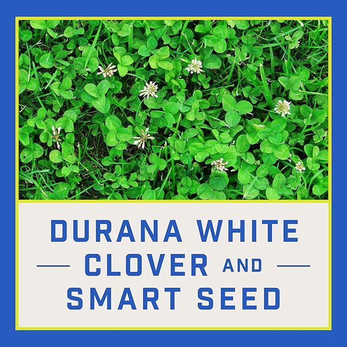 Pennington Smart Seed Clover and Grass Mix 7 lb (Pack of 2)