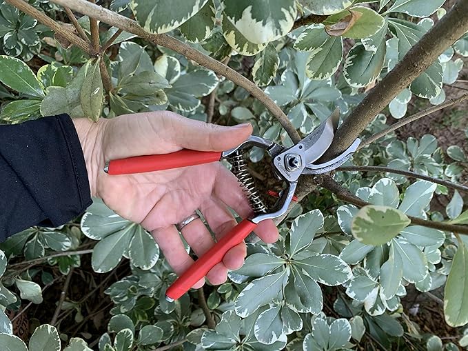 Corona Tools Forged Steel ClassicCUT Bypass Hand Pruner – 1-Inch Cut Capacity Garden Pruning Shears for Stems & Branches, Heavy-Duty Bypass Pruners for Tree, Shrub & Plant Trimming