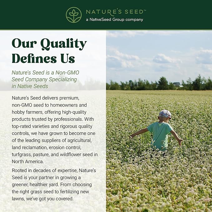 Nature’s Seed Common Buckwheat Seeds for Planting, Wildlife Food Plot, Cover Crop, Green Manure, Pasture, 5 Lbs