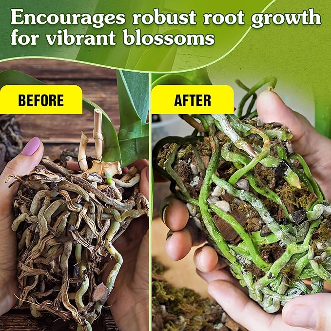 5-in-1 Orchid Potting Mix with Forest Moss, Pine Bark, Perlite, Zeolite, and Pumice – Orchid Soil, Orchid Repotting Kit for Healthy Roots, Fast Drainage, and Support for Growth 2 QRT
