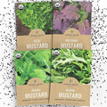Organic Mustard Green Seeds Variety Pack - 4 Individual Packs - 2026 Season - Mizuna, Pizzo, Bekana, and Red Giant! for Indoor & Outdoor Planting (Non-GMO, Certified Organic)