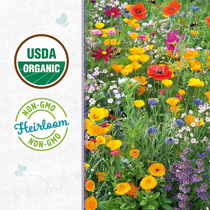 Back to The Roots 100% Organic Seed Packet - Wildflower 'Rainbow Blooms' Mix