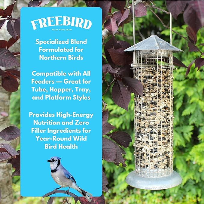 Wild Bird Seed by Freebird – Premium Black Oil Sunflower, Sunflower Kernels & Safflower Blend for Songbirds & Finches, Outdoor Feeders, 6 lb Bag