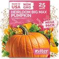 KVITER 25 Big Max Pumpkin Seeds for Planting (Cucurbita Pepo) – Giant Heirloom & Organic Pumpkin Seeds, Up to 100 lbs – Ideal Vegetable Seed Packets for Home Outdoor Garden