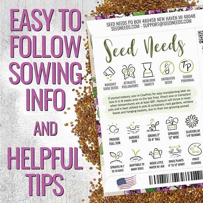 Seed Needs Royal Carpet Alyssum Seeds for Planting - Heirloom & Untreated - Tender Perennial Flowers to Attract Pollinators to Rock Gardens, Pots, Containers & Window Boxes (1 Pack)