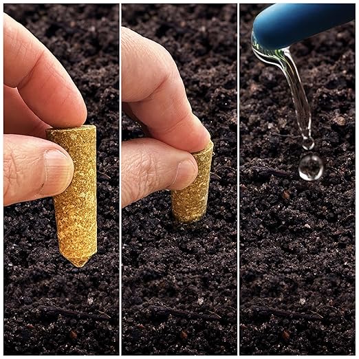 The Old Farmer's Almanac Houseplant & Flower Plant Food Mini Spikes - NPK 5-5-5 for Continuous Feeding and Vibrant Colors (24 Mini Spikes)