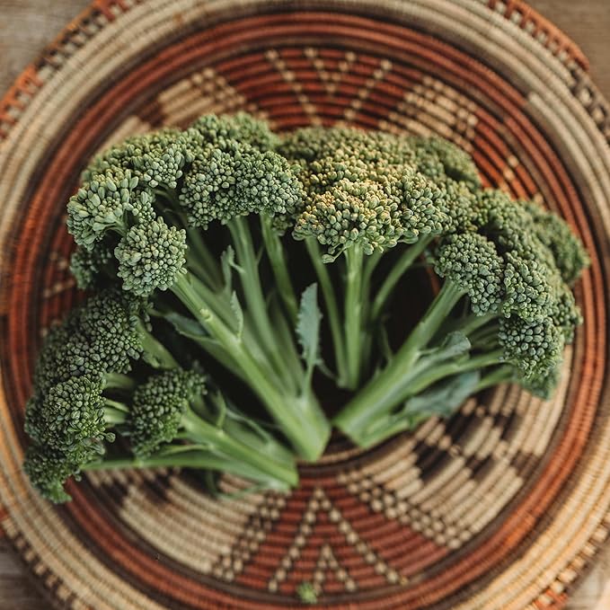 Waltham 29 Broccoli - 100 Seeds - Heirloom Broccoli Variety, Sweet & Tender Florets, Non-GMO Broccoli Seeds for Planting in The Home Garden, Thresh Seed Company