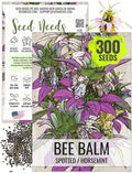Seed Needs, Spotted Bee Balm Seeds - 300 Heirloom Seeds for Planting Monarda punctata - Medicinal Horsemint Herb, Open Pollinated, Attracts Pollinators (1 Pack)