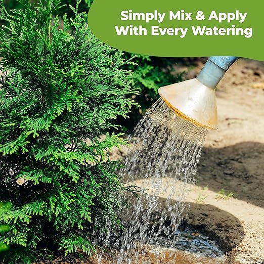 Liquid Arborvitae Fertilizer by Perfect Plants (1qt)