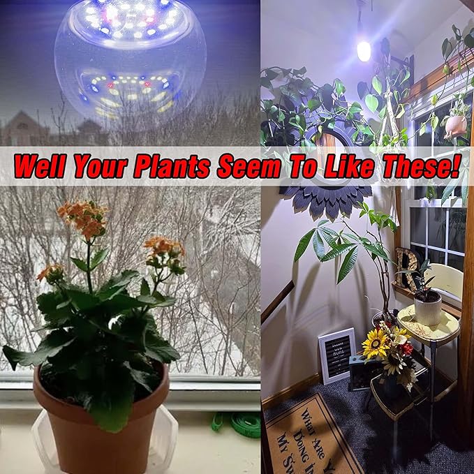 Grow Light Bulbs Full Spectrum with Red Blue 5000K E12 Candelabra Small Base 9W Sunlight Grow Bulb Replace 100W with Balanced Spectrum for Indoor Plants, Succulents, Flowers, Fruit, Mini Bonsai,1 Pack