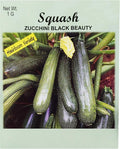Set of 25 Squash- Zucchini Black Beauty Vegetable Seed Packs - 100% GMO Free - Heirloom - Black Duck Brand (25, Squash- Zucchini Black Beauty)