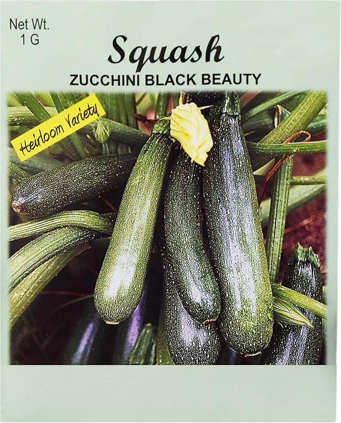 Set of 25 Squash- Zucchini Black Beauty Vegetable Seed Packs - 100% GMO Free - Heirloom - Black Duck Brand (25, Squash- Zucchini Black Beauty)