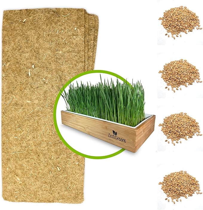 Cat Grass Refills for Self Watering Cat Grass Kit - 4 Mats and 4 Cat Grass Seed Packets (Refill Kit)
