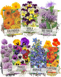 Seed Needs, Edible Wildflower Seed Packet Collection (7 Varieties of Flower Seed for Planting) Non-GMO & Untreated - Includes Viola, Pansies, Chives, Borage, Calendula, Nasturtium and Bee Balm