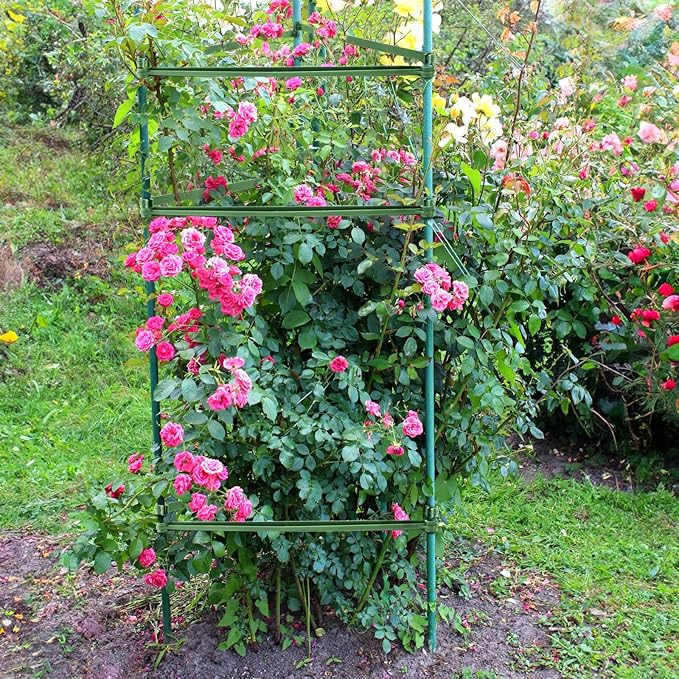 Coloch 100 Pcs Plant Stake Arms for Tomato Cage, 11.8” Expandable Plant Supports Trellis Connector with 2 Buckles for 11mm Diameter Plant Stake, for Climbing Plants, Tomato, Vegetable, Indoor&Outdoor