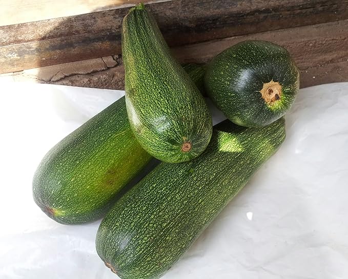 CEMEHA SEEDS - Seeds Light Green Zucchini Courgette Squash 36 Days Non GMO Vegetable for Planting