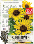 Seed Needs Sunflower Seeds for Planting Wild Sunflowers - Heirloom & Open Pollinated Flower Seed to Plant an Outdoor Wildflower Butterfly Garden (1 Pack)