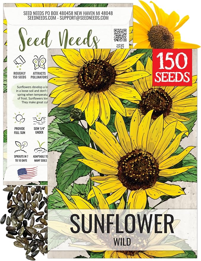 Seed Needs Sunflower Seeds for Planting Wild Sunflowers - Heirloom & Open Pollinated Flower Seed to Plant an Outdoor Wildflower Butterfly Garden (1 Pack)