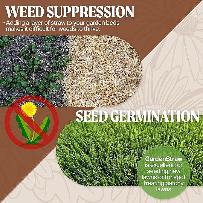 HealthiStraw GardenStraw, 3 cu ft (20 lbs) All-Natural Mulch for Gardens, Vegetables & Lawn Seeding – Water-Conserving Wheat Straw – Thoroughly Cleaned, Sustainable