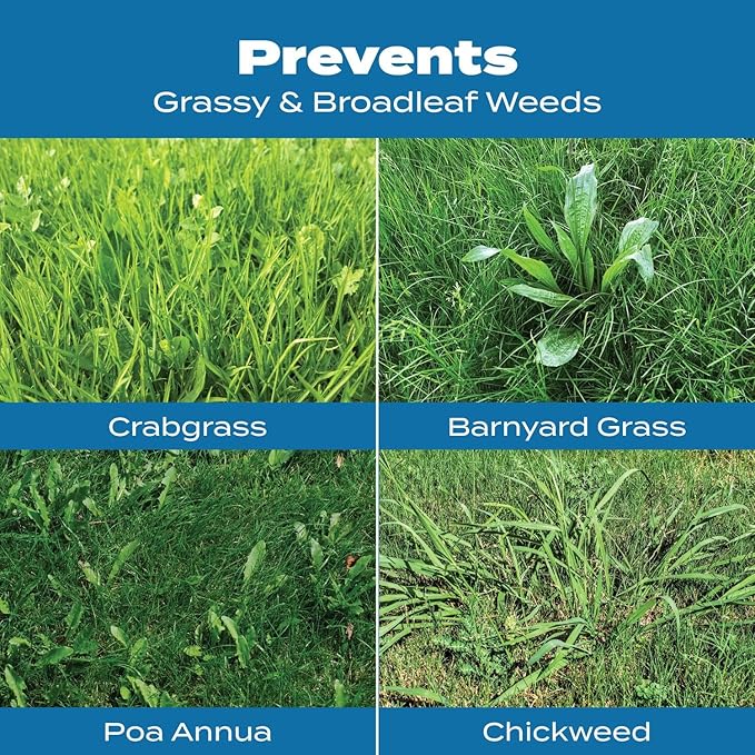 Scotts Turf Builder Halts Crabgrass Preventer with Lawn Food - Pre-Emergent Weed Killer, Lawn Fertilizer, 5,000 sq. ft., 13.35 lb
