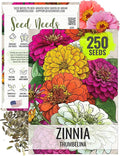 Seed Needs Thumbelina Zinnia Seeds for Planting - Heirloom & Open Pollinated Annual Dwarf Cut Flowers - Grow a Butterfly Garden to Attract Pollinators (1 Pack)