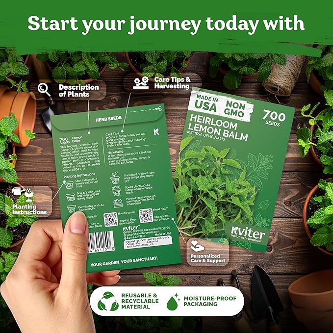 KVITER 700 Lemon Balm Seeds for Planting (Melissa Officinalis) – Heirloom & Organic Medicinal Herb Seeds – Grow in Herb Garden, Pots, Beds Indoors & Outdoors for Calming Lemon Balm Tea