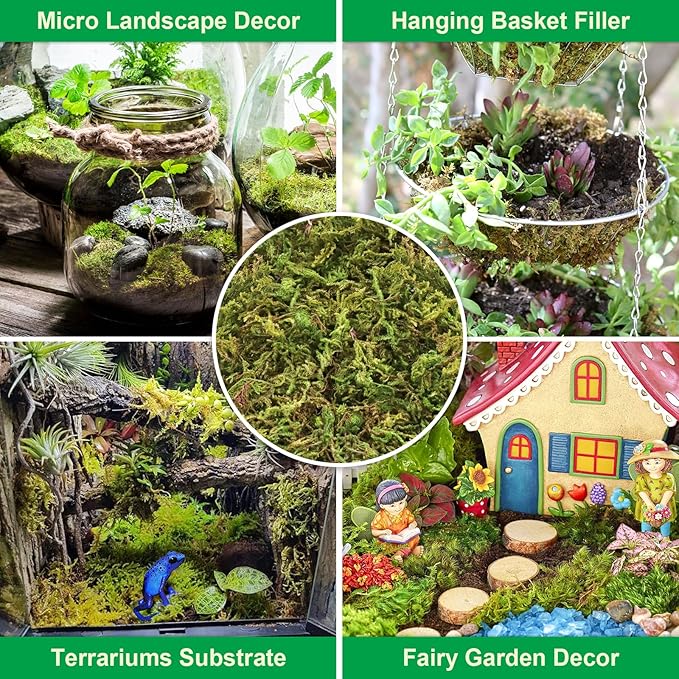Legigo 3.3LBS Sphagnum Moss for Plants, 60QT Natural Orchid Moss Potting Mix Dired, Green Forest Plant Moss for Orchid Repotting Carnivorous Succulents Indoor Potted Plants Gardening and Reptiles