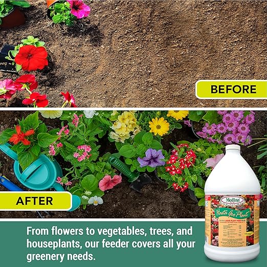 Medina HastaGro Plant Food 6-12-6 Liquid Fertilizer - Natural Plant Fertilizer for Healthy Growth - Food for Plant Nutrients & Vibrant Blooms - Promotes Root Development & Stronger Plants (1 Gal)