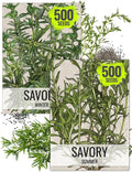 Seed Needs Savory Seeds for Planting Summer & Winter Savory Herbs - Non-GMO Heirloom & Untreated Herb Seed to Plant an Indoor/Outdoor Culinary Medicinal Garden (Collection of 2 Packets)