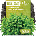 KVITER 1800 Genovese Basil Seeds for Planting (Ocimum basilicum) - Classic Savory Sweet Italian Basil - Non GMO & Heirloom Seeds for Kitchen Herb Garden, Containers & Beds, Indoors/Outdoors
