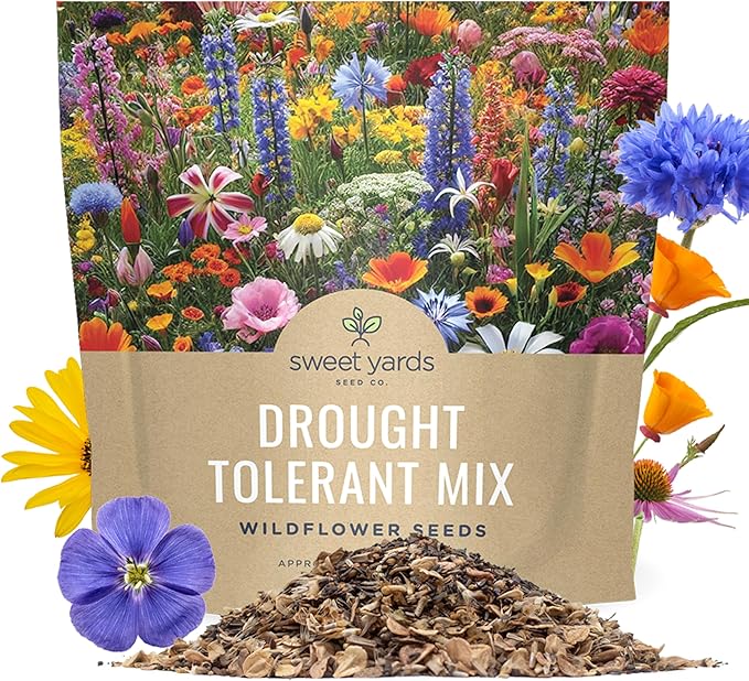 Drought Tolerant Wildflowers Mix – Extra Large Packet – Over 7,500 Open Pollinated Non-GMO Seeds – 21 Different Dryland Species
