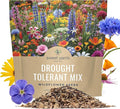 Drought Tolerant Wildflowers Mix – Extra Large Packet – Over 7,500 Open Pollinated Non-GMO Seeds – 21 Different Dryland Species
