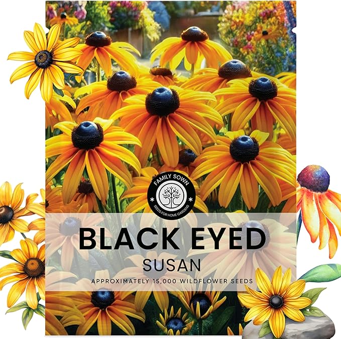Black Eyed Susan - Large 5g Envelope - 15,000 Flower Seeds for Planting - Rudbeckia hirta