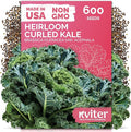 KVITER 600 Vates Blue Scotch Curled Kale (Brassica oleracea VAR. Acephala) Seeds – Cold-Hardy Leafy Green for Gardens and Beds – Nutrient Rich, Frilly Leaves, Excellent for Cooking