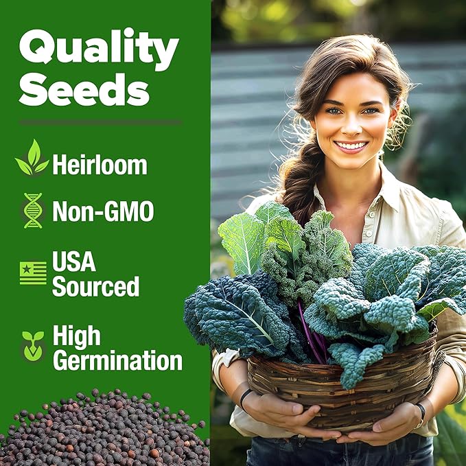 HOME GROWN 4 Kale Heirloom Vegetable Seeds for Planting Home Garden, Beans, Carrots, Peppers, Cucumber, Kale, Pepper Seeds, Tomato