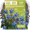 KVITER 150 Borage Seeds (Borago officinalis) - Blue Strawflower, Edible Flower for Teas, Attracts Pollinators - Organic & Heirloom Herb Seeds for Planting in Outdoor & Indoor Garden, Beds, Containers