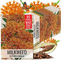 Seed Needs Orange Milkweed Seeds for Planting Butterfly Weed - Heirloom & Untreated Perennial Flower Seed to Grow a Monarch Butterfly Garden (10 Packs)
