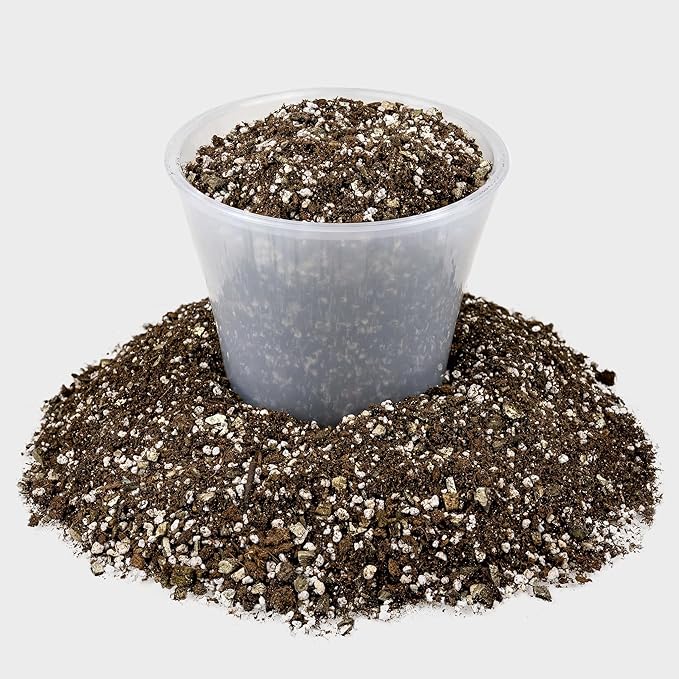 Premium African Violets and Gesneriad Premium Soil Mix by Gardenera - Horticultural Perlite (25%) + Vermiculite (25%) + Sphagnum Peat Moss (50%) - Made in USA - (1 Quart Bag)