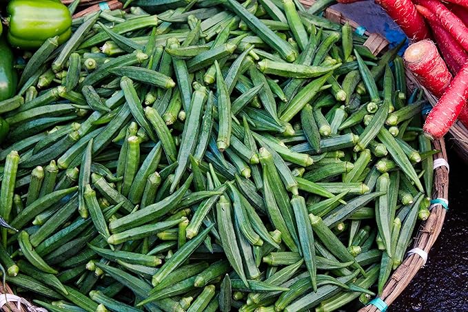 TKE Farms & Gardens - Clemson Spineless Okra Seeds for Planting, 100+ Heirloom Non-GMO Seeds, Easy to Grow for Outdoor Gardens, High-Yield Variety That Thrives in Warm Climates