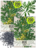 Seed Needs Rue Seeds for Planting - Non-GMO Heirloom & Untreated Perennial Herb Seed to Plant a Home Grown Medicinal Garden Indoors or Outdoors (2 Packs)
