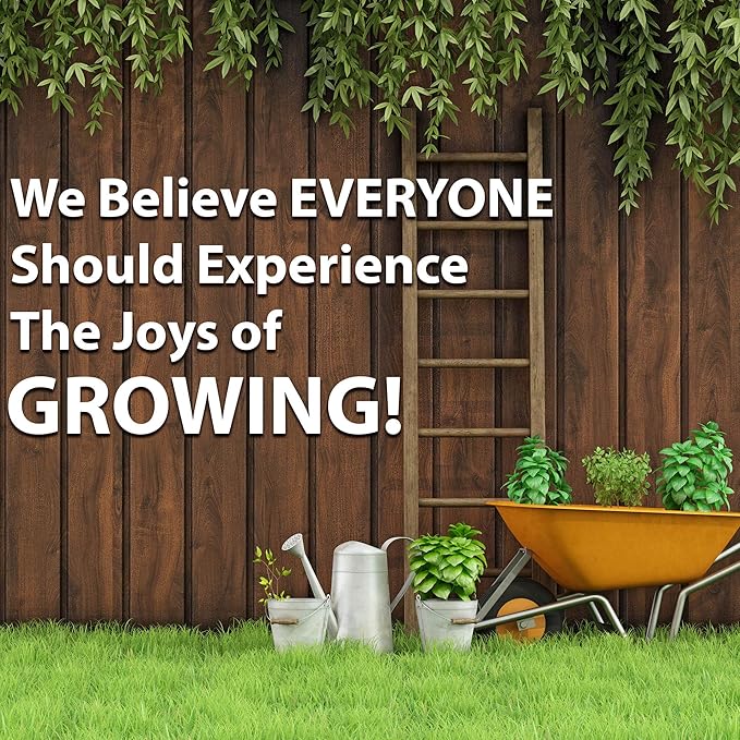 Kitazawa Seed Company Egyptian Spinach Seeds - Molokhia, Jew's Mallow, Jute Mallow, Corchorus olitorius - 2 g Packet ~1,000 Seeds - Non-GMO, Heirloom - Heirloom Asian Garden Seeds for Planting