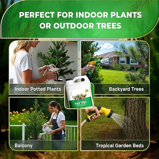 Leaves and Soul Professional Pine Tree Fertilizer Liquid Concentrate - 6-4-6 Blend for Pine, Garden Use - Liquid Plant Food for Pine Trees and Shrubs Outdoors - 32oz