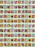 Black Duck Brand Set of 100 Flower Seed Packets! Flower Seeds in Bulk - Best Value Seeds - Great for Classrooms, Beginner Gardeners and Kids! - Deluxe Varieties! (100)